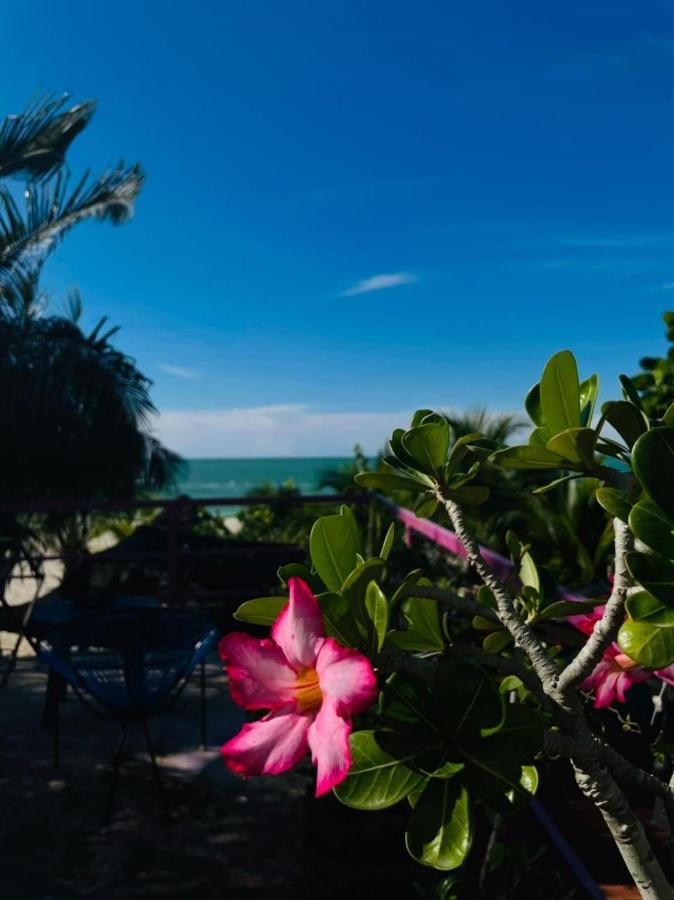 Hotel Gutierrez Celestun Ngoại thất bức ảnh